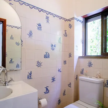 Semesterbostad Casa Do Castro @ Charming House With Pool