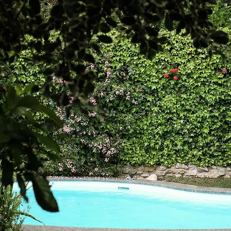 Semesterbostad Casa Do Castro @ Charming House With Pool